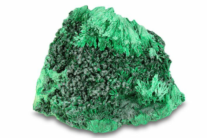 Silky Fibrous Malachite Cluster - DR Congo #294636
